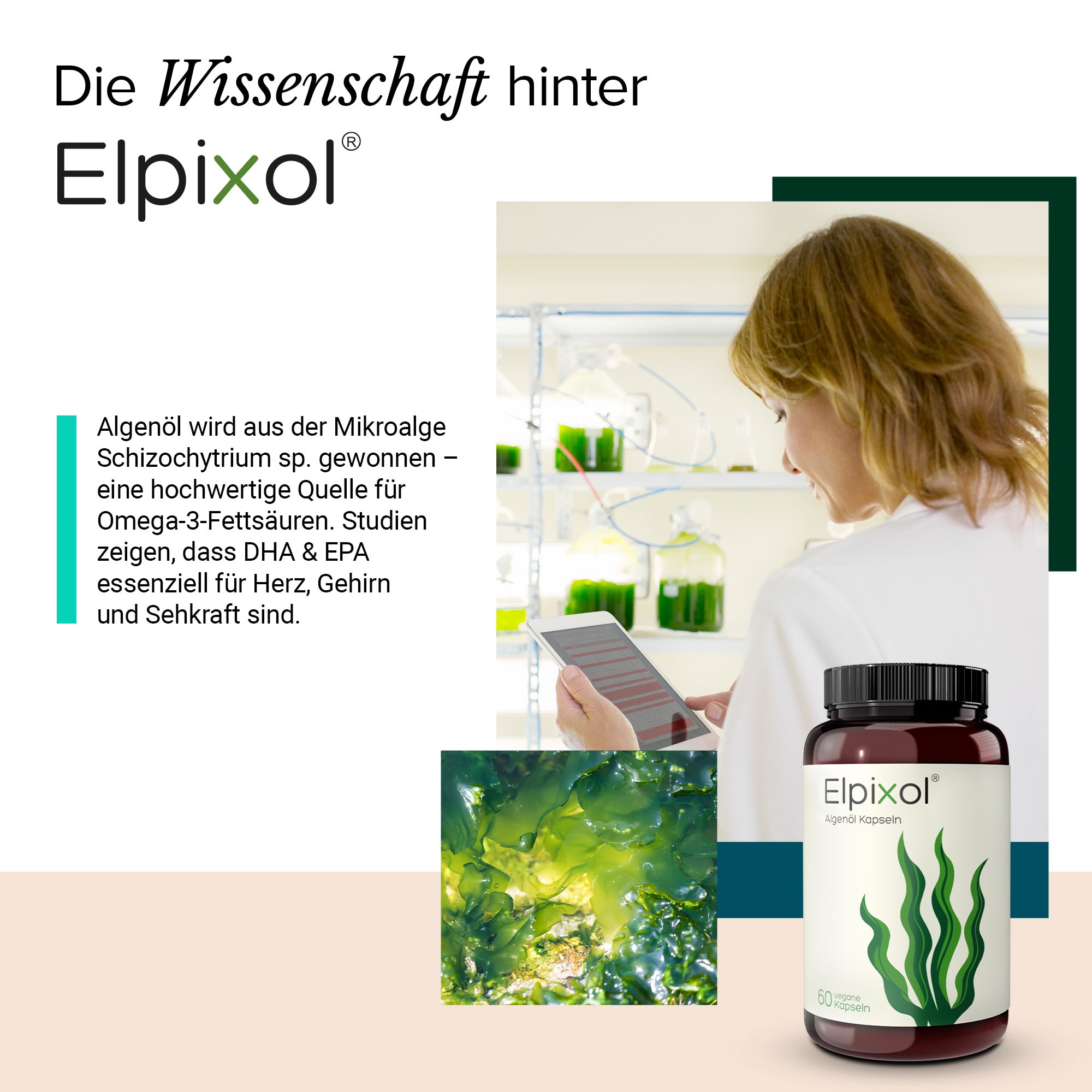 Elpixol® Algenöl Kapseln mit 500 mg EPA + DHA